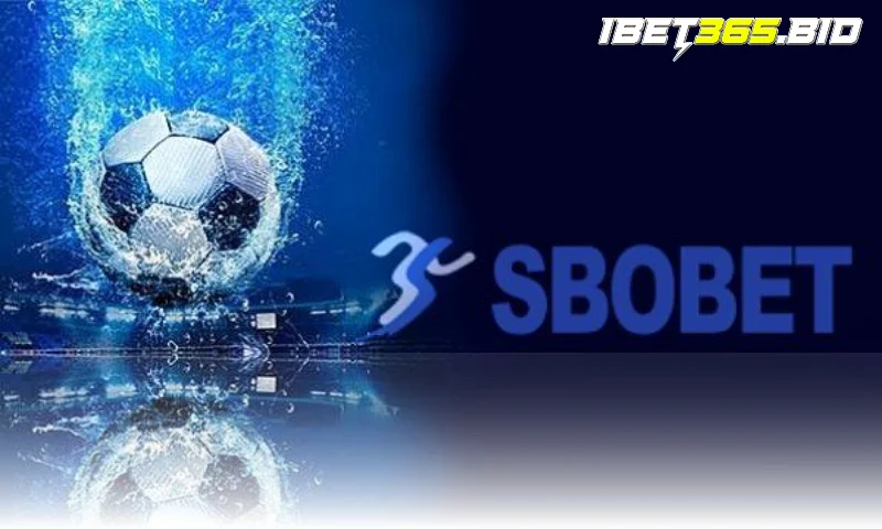 Quần vợt trong SBO sport Bet365
